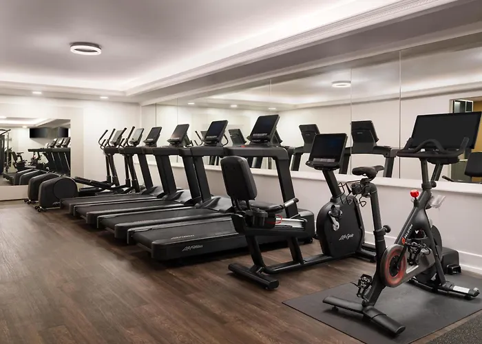 Hotel Hilton Orrington/evanston 4*