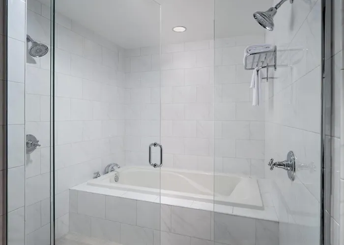 Hotel Hilton Orrington/evanston 4*