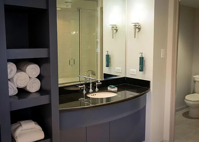Hilton Orrington/evanston Hotel 4*